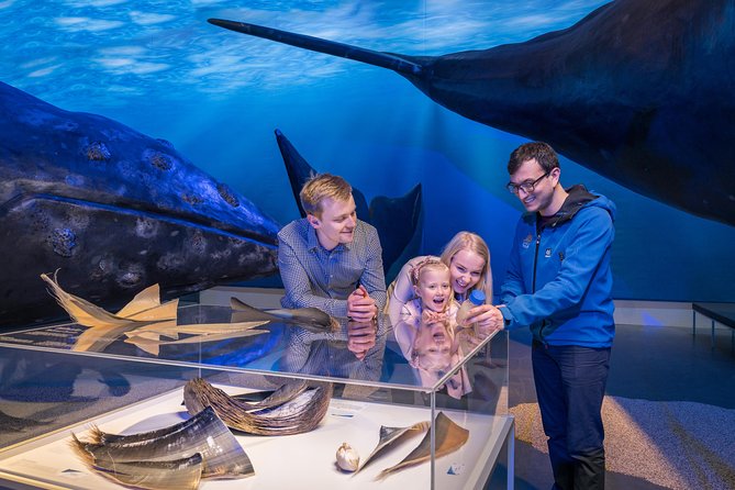 Northern Lights by Boat with a Backup Plan from Reykjavik - Booking, cancellation, and timing advice
