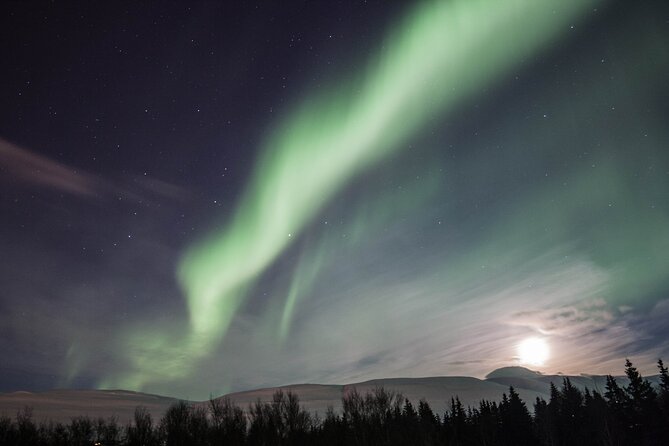 Northern Lights Classic MiniBus Tour from Akureyri - Key points to know before booking