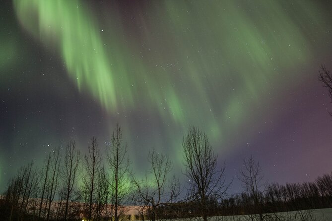 Northern Lights Classic MiniBus Tour from Akureyri - Who should book this Akureyri tour