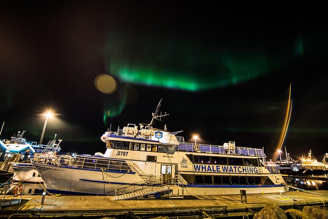 Northern Lights Cruise from Reykjavik Including Photos - Key points to know before sailing