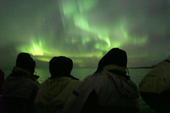 Northern Lights Cruise from Reykjavik Including Photos - What happens when the lights do not appear