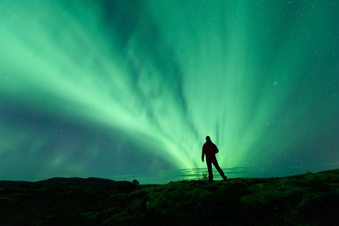 Northern Lights Guided Bus Tour from Reykjavik - Key points to know before booking