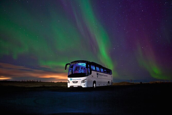 Northern Lights Guided Bus Tour from Reykjavik - Cold, darkness, and basic bus comforts