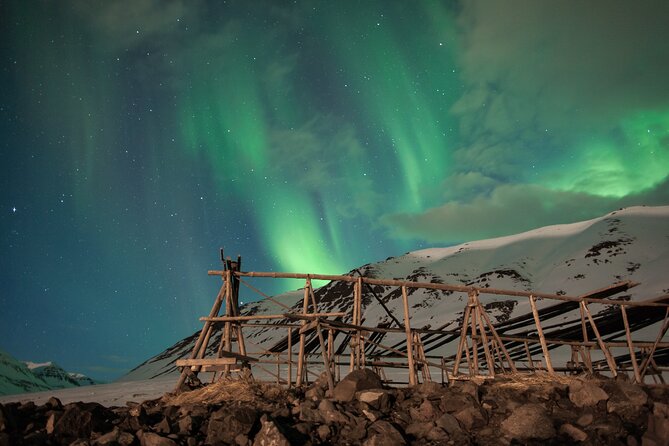 Northern Lights Hunting (Private) - Wi-Fi, cameras, and the practical side of the wait