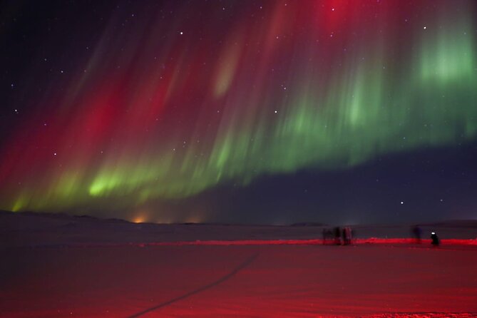 Northern Lights Private Tour from Reykjavik - The $445 price and who gets the best value