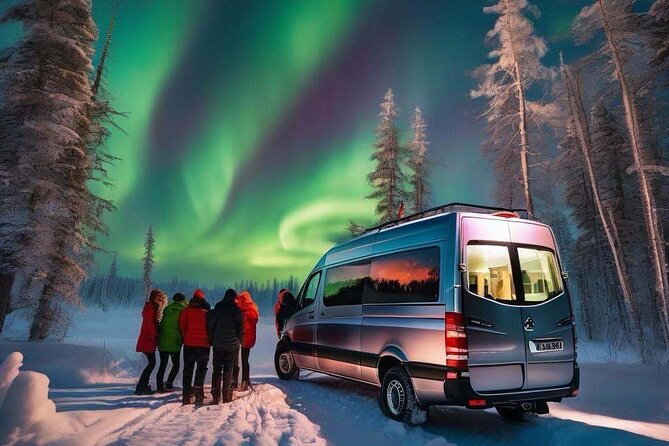 Northern Lights Small Group Tour from Reykjavik - What happens when the lights appear