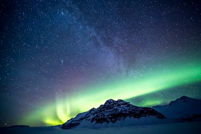 Northern Lights Small-Group Tour with Free Photos & Hot Chocolate - Price and value at $118.27