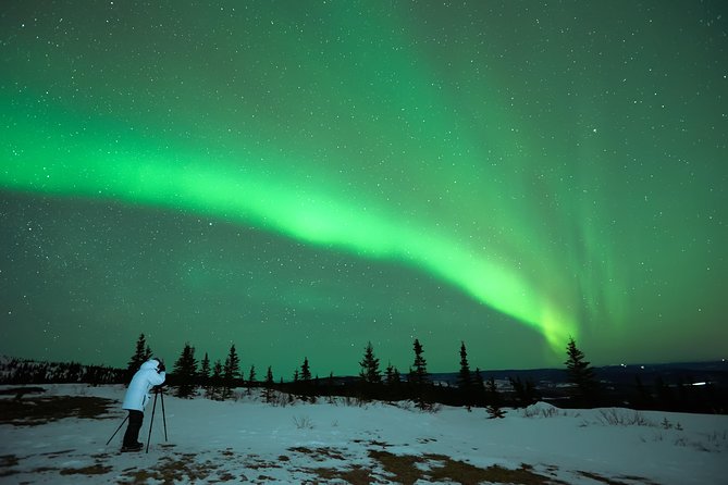 Northern Lights Tour from Reykjavik with Lifetime Guarantee - Key points to know before you book