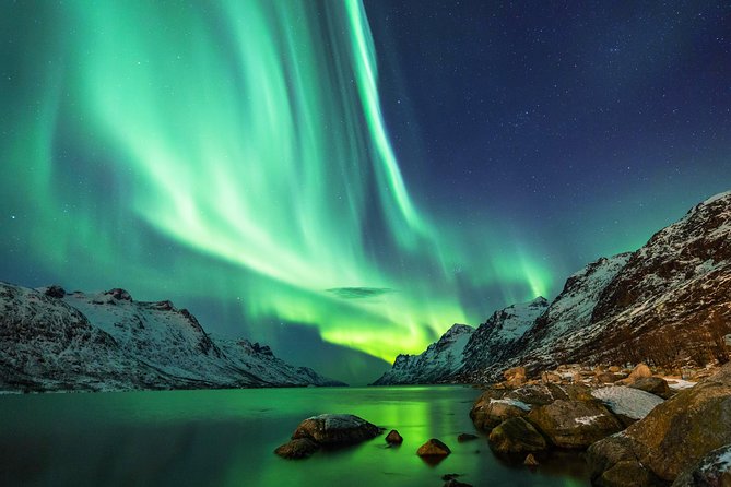 Northern Lights Tour from Reykjavik with Lifetime Guarantee - Guides who keep looking