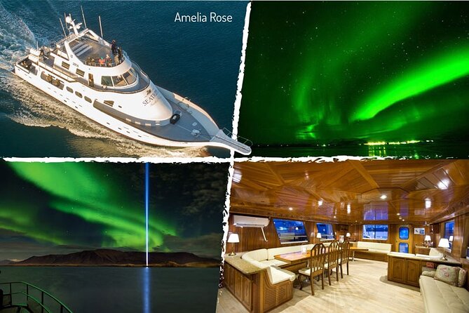 Northern Lights Yacht Cruise in Reykjavik - My practical verdict