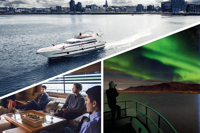 Northern Lights Yacht Cruise - Seeing Harpa Hall and Reykjavik from the water