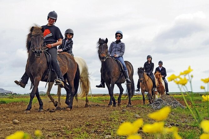 One-Hour Horseback Riding Tour in the Icelandic Countryside - Key points about this Icelandic horse ride