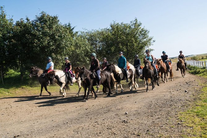 One-Hour Horseback Riding Tour in the Icelandic Countryside - What this one-hour ride is really designed to do