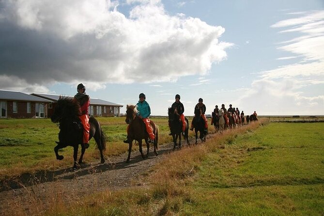 One-Hour Horseback Riding Tour in the Icelandic Countryside - The group size and the feel of the outing