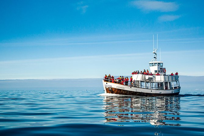 Original Carbon Neutral Whale Watching Tour from Húsavík - How the price compares with the experience