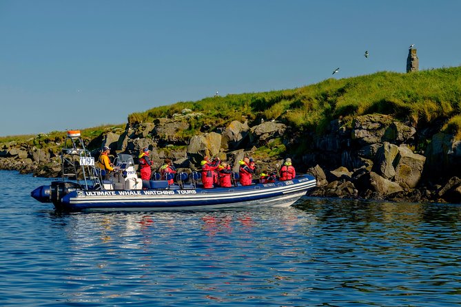 Premium Small-Group Puffin & Bird Watching tour from Reykjavík - Who Will Enjoy This More?