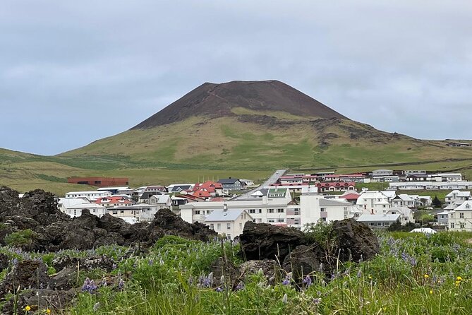 PRIVATE 2-Hours Tour - Westman Islands with a local in a BMW X5 - What the $607.15 price really buys