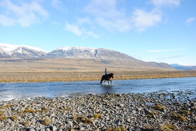 Private 3-Hour Horseback Riding Tour - Starting at Hestasport Reception in Vegamót