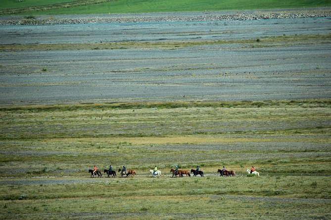 Private 3-Hour Horseback Riding Tour - Understanding tölt before you book