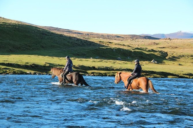 Private 3-Hour Horseback Riding Tour - How much value do you get for $230.45?