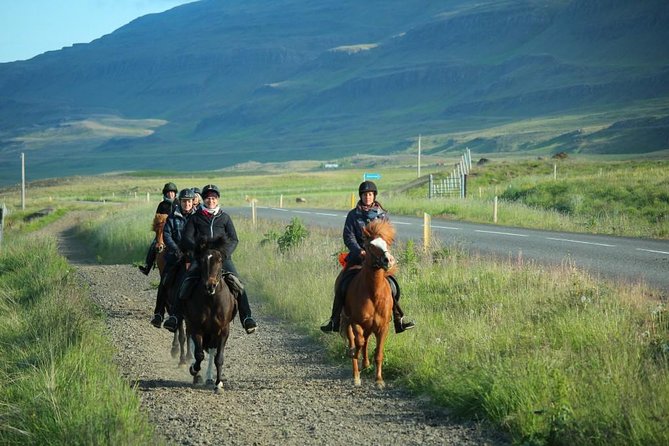 Private 3-Hour Horseback Riding Tour - Weather, fitness, and comfort