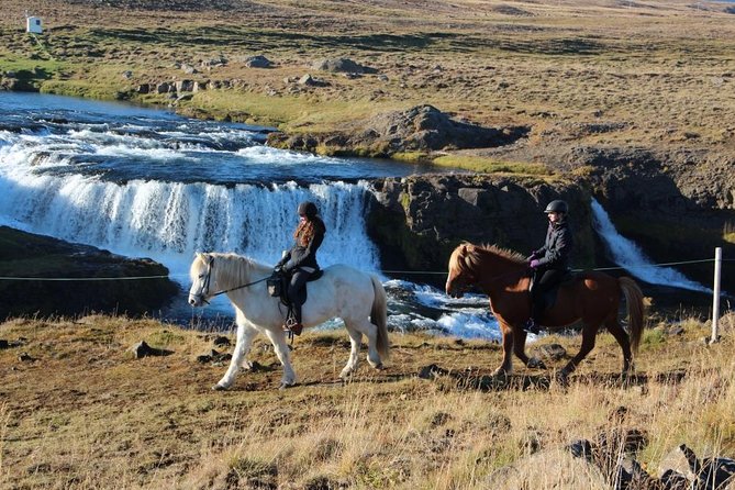 Private 3-Hour Horseback Riding Tour - Who will enjoy this most