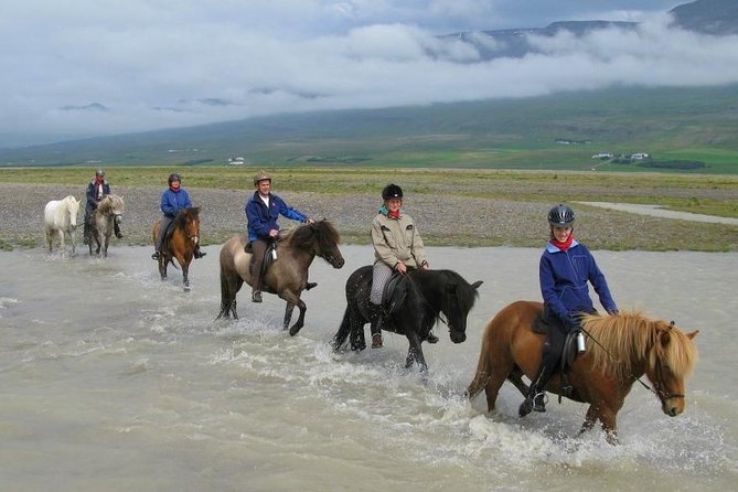Private 3-Hour Horseback Riding Tour - Three hours across rural Iceland