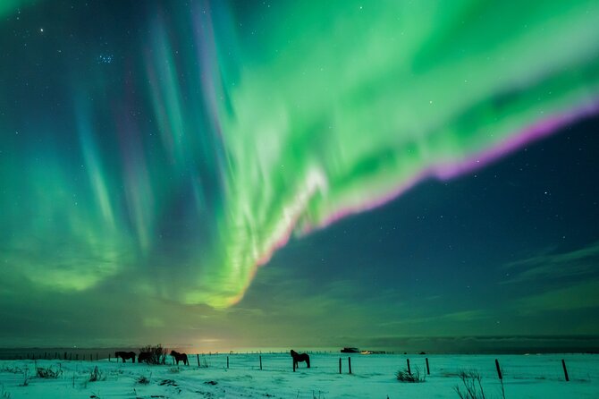 Private Aurora Hunt with Photos in Super Defender - Learning to photograph the aurora