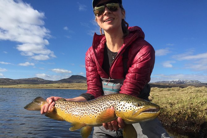 Private Fishing Tour from Reykjavik - Arctic Char and Brown Trout - Price and value at $960 per person