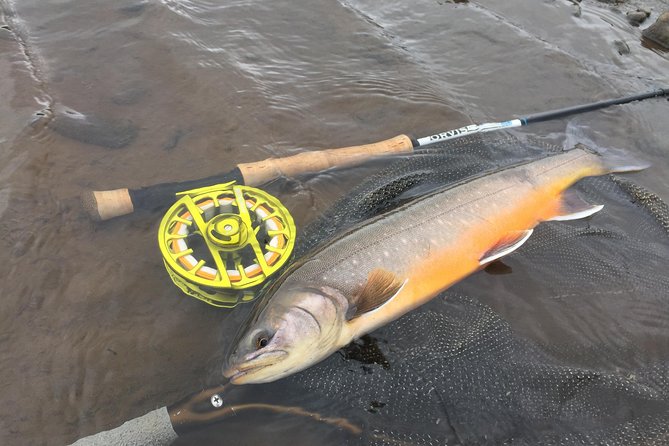 Private Fishing Tour from Reykjavik - Arctic Char and Brown Trout - Who should book this fishing trip?