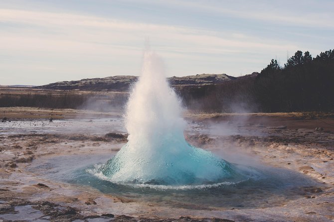 Private Golden Circle Thingvellir,Geysir,Gullfoss,Fridheimar - Fridheimar Tomato Farm: The Most Unusual Stop