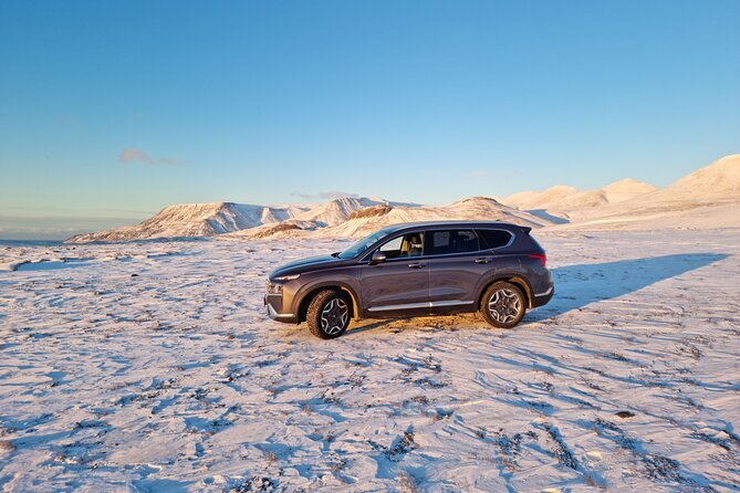 Private Golden Circle Tour - Gullfoss waterfall: the big visual moment