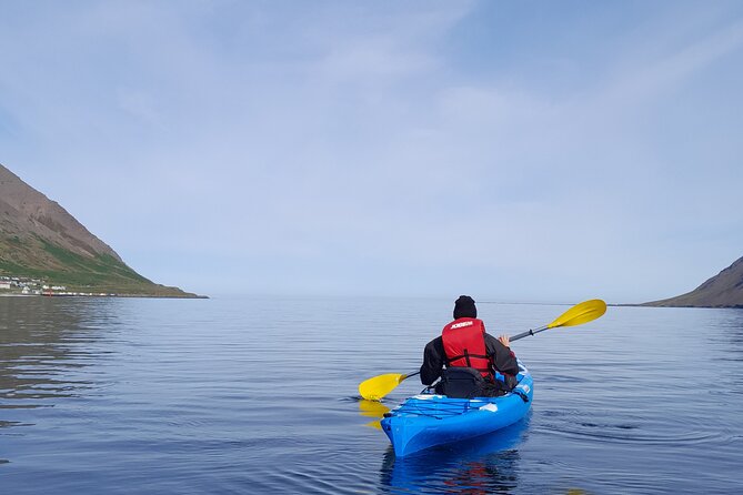 Private: Guided kayak tour in Siglufjörður / Siglufjordur. - Key points before you book