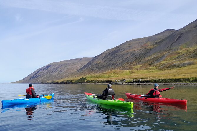Private: Guided kayak tour in Siglufjörður / Siglufjordur. - Why Siglufjörður is a fine place to paddle