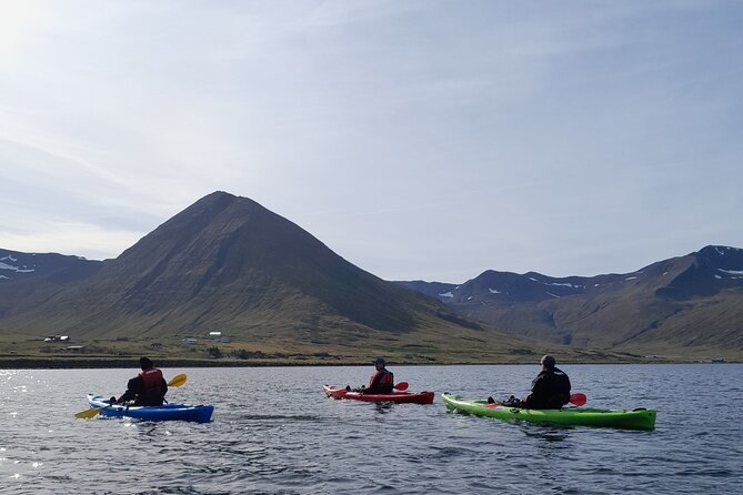 Private: Guided kayak tour in Siglufjörður / Siglufjordur. - Stories about Fjallabyggð from the water