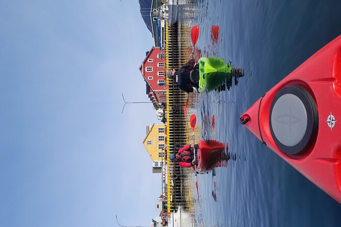Private: Guided kayak tour in Siglufjörður / Siglufjordur. - What the $508.04 group price really means