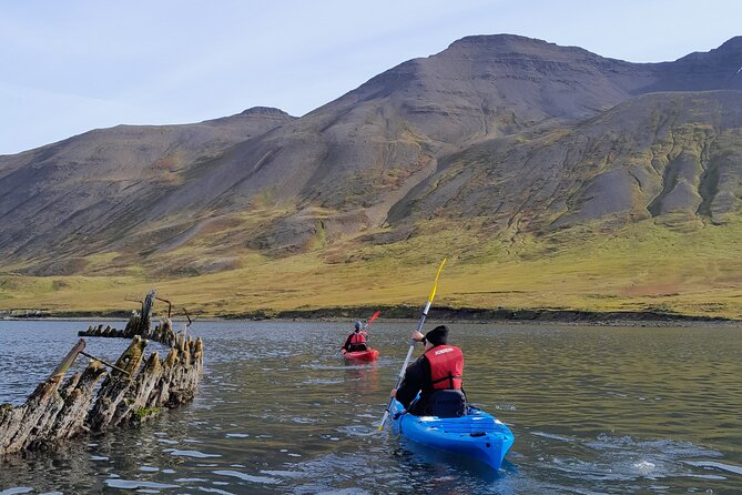 Private: Guided kayak tour in Siglufjörður / Siglufjordur. - Getting ready at Siglo Sea