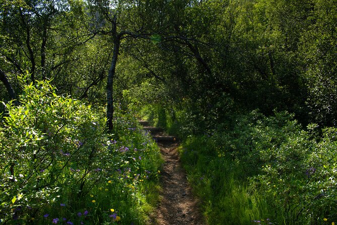 Private Hiking Tour in the Valley of Thórsmörk - Price, group size, and the value question
