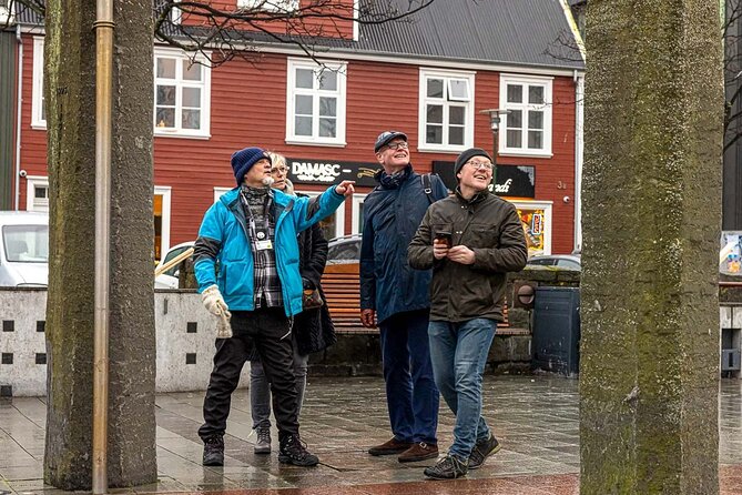 Private Icelandic Viking Age Walking Tour - Why this private Reykjavik walk is different