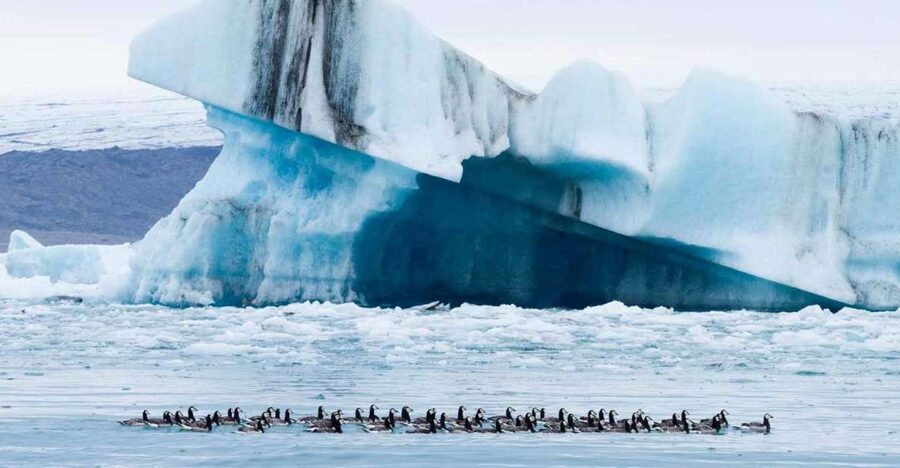 Private Jökulsárlón Glacier Lagoon Tour - Key things to know before booking