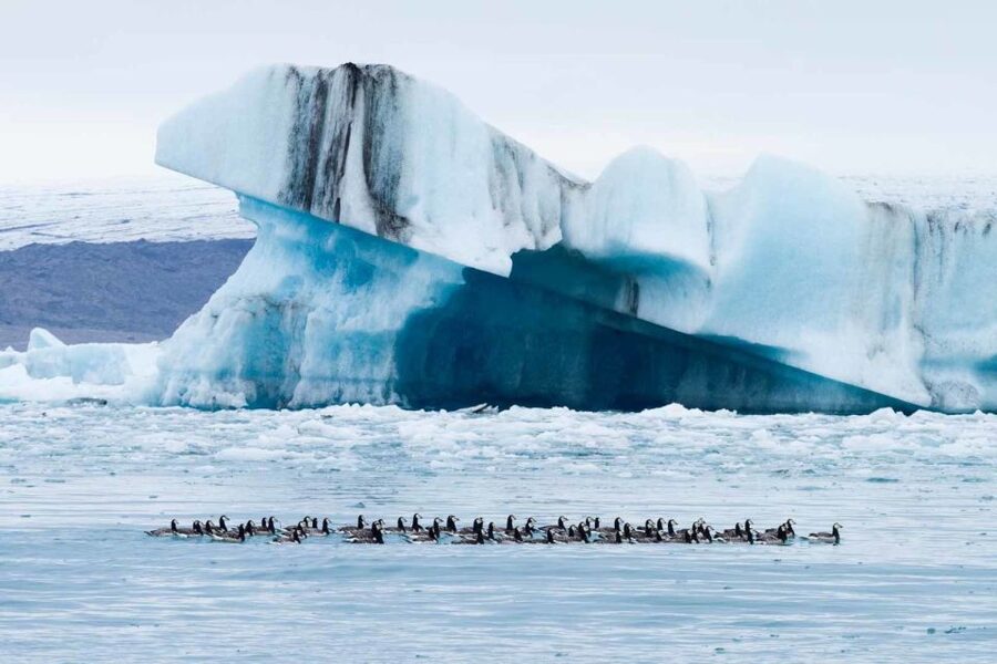 Private Jökulsárlón Glacier Lagoon Tour - Why Jökulsárlón makes this a full-day commitment