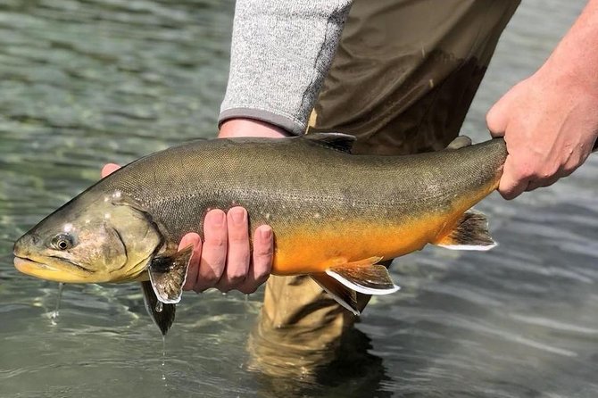 Private Lake and River Fishing Tour from Reykjavik - Why this Reykjavik fishing trip feels different