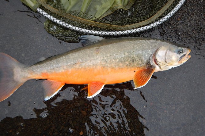Private Lake and River Fishing Tour from Reykjavik - Learning to fly fish with Baldur