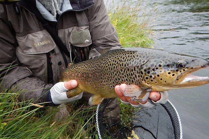 Private Lake and River Fishing Tour from Reykjavik - Weather, clothing, and the practical side of fishing