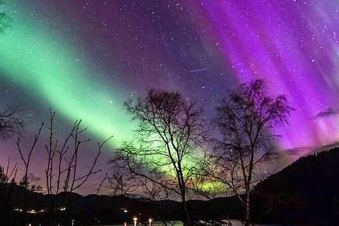 Private Northern Lights Tour From Reykjavik - The private ride and why it matters