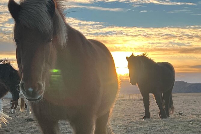Private Reykjanes Peninsula Guided Tour - Seltun: Heat, Steam, and Color in the Ground