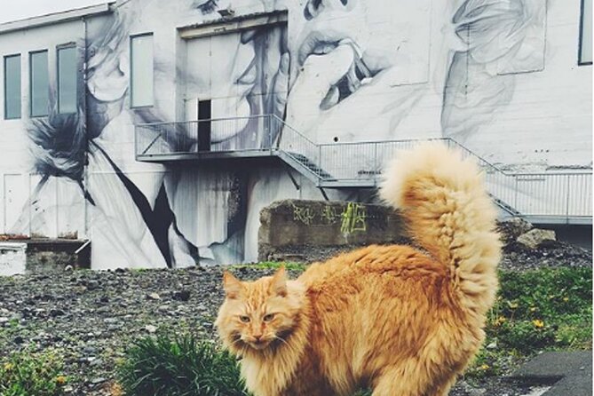 Private Reykjavik Cat Walking Tour - The guide can make or break the folklore