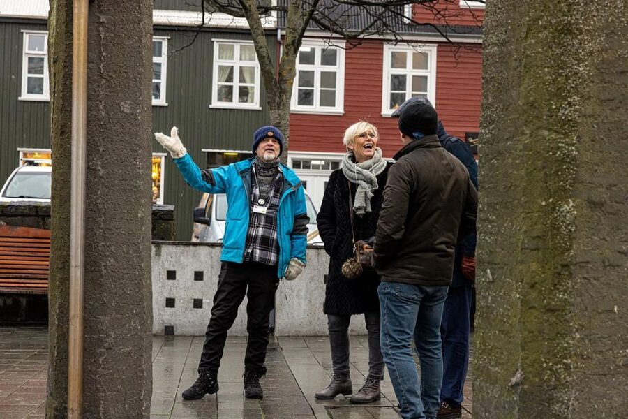 Private Reykjavik City & Food Walking Tour - Alþingi and the stories behind the city center