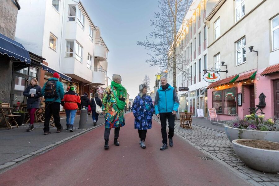 Private Reykjavik Shopping & Sightseeing Walking Tour - Treats, a drink, and useful local advice