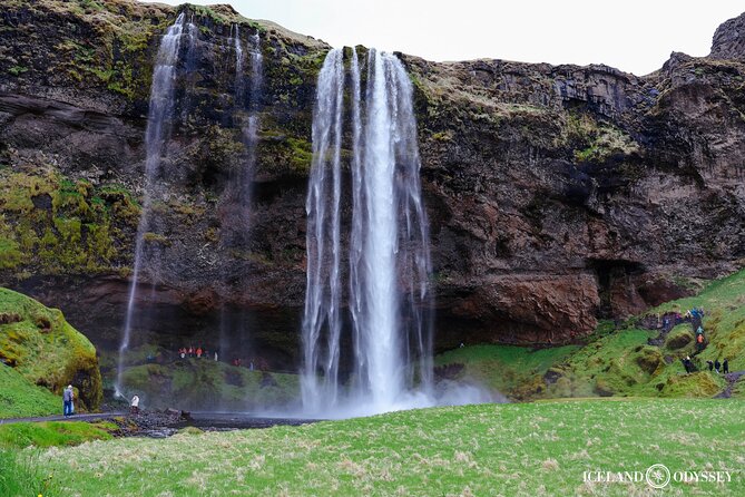 Private South Coast, Black Sand Beach and Glacier (Up to 8 Pax) - What the private van adds